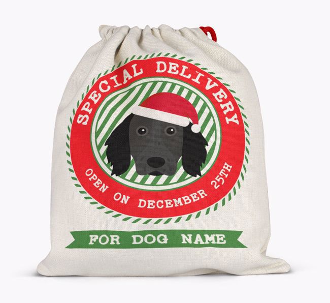 Special Delivery: Personalized {breedFullName} Santa Sack